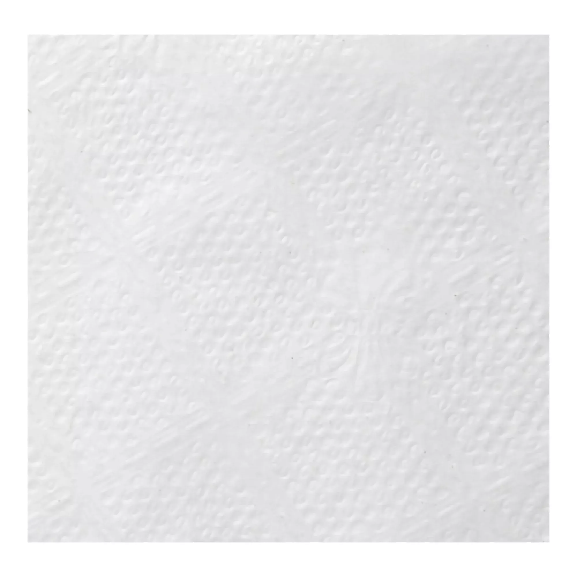 acclaim Luncheon Napkin, 1 Case of 12