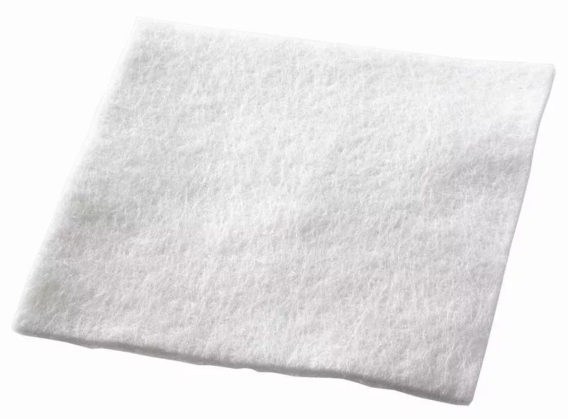 Biatain Ag Calcium Alginate Dressing with Silver, 6 x 6 Inch, 1 Each
