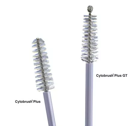 Cytobrush Plus GT Cytology Brush, 1 Bag of 100