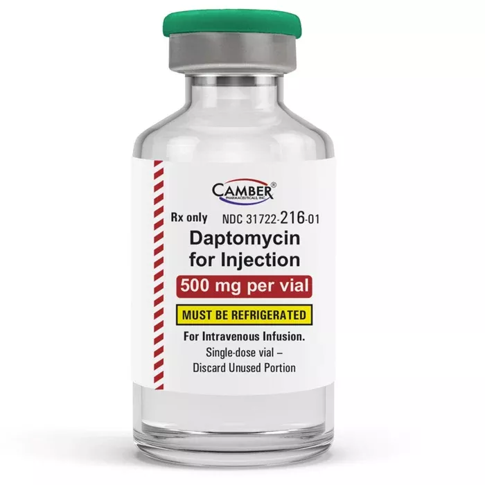 Daptomycin Injection 500 mg Powder Vial (RX)