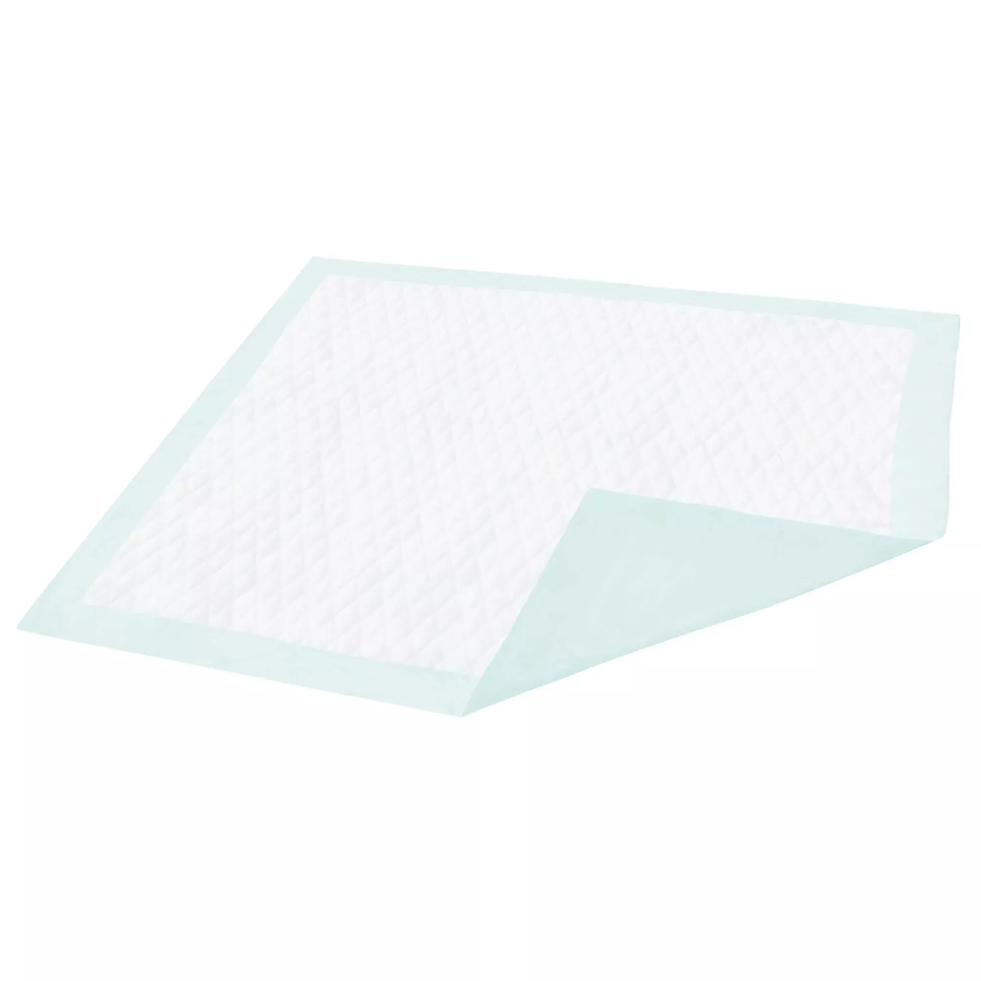 Dignity Light Absorbency Underpad, 23 x 26 in., 1 Case of 150