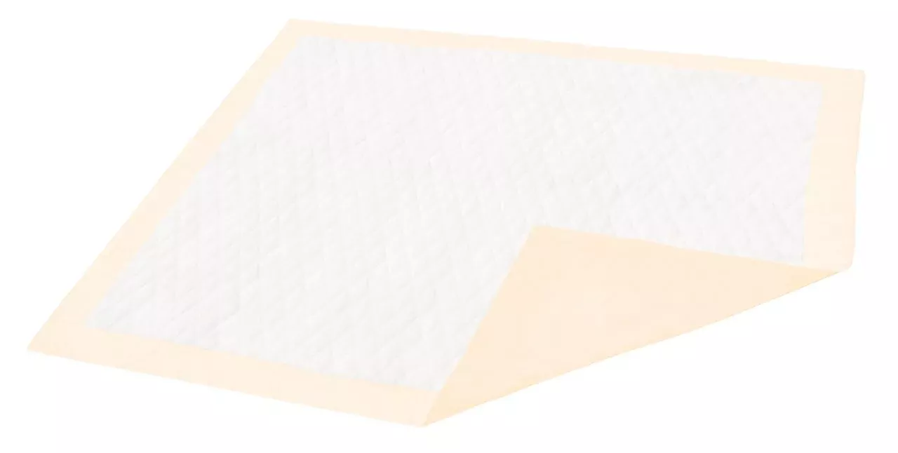 Dignity Ultrashield Premium Superabsorbent Underpad, 30 x 36 Inch, 1 Case of 100