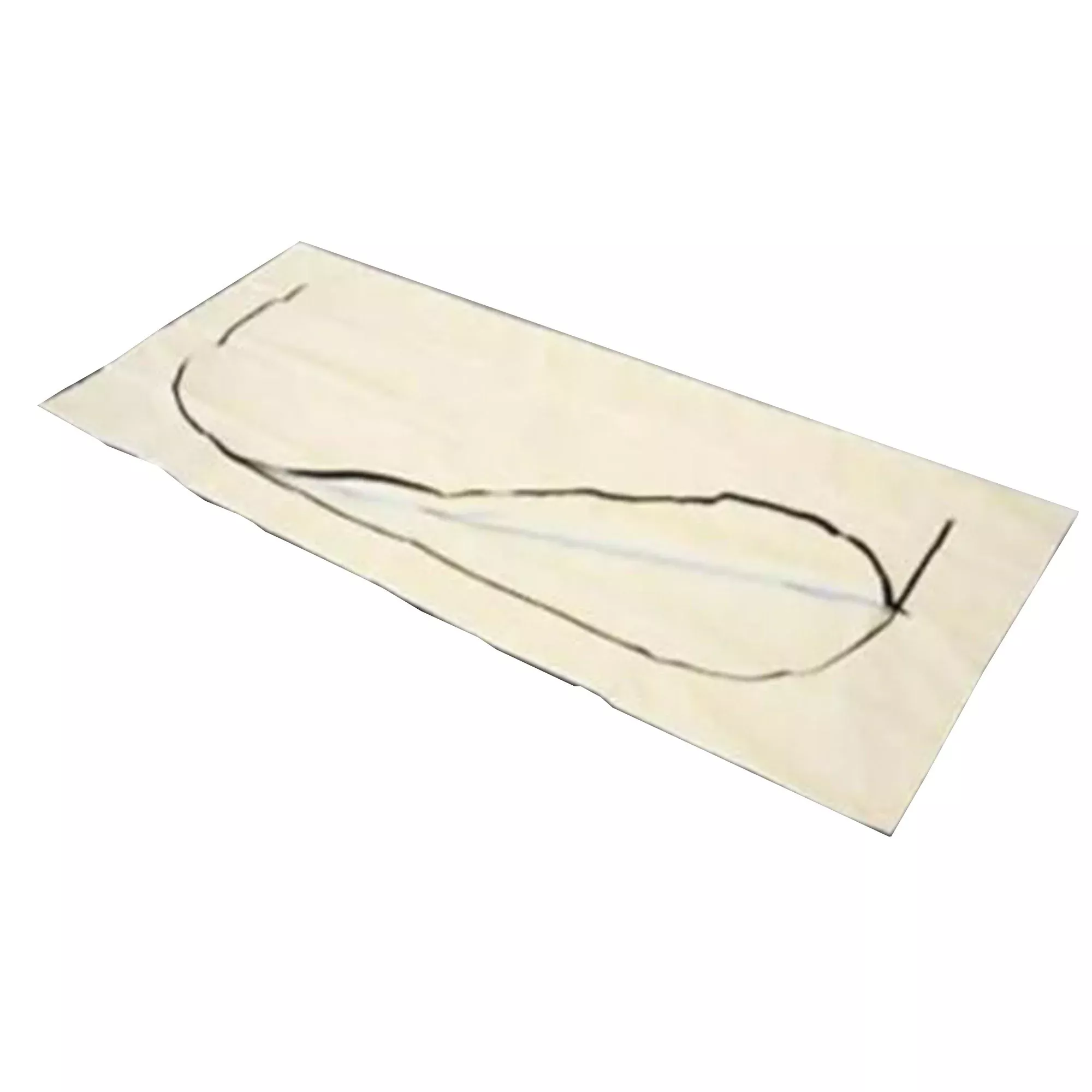 EnviroMed-Bag Post Mortem Bag, 1 Case of 12