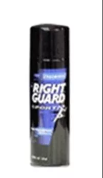 Right Guard Antiperspirant / Deodorant, 1 Each