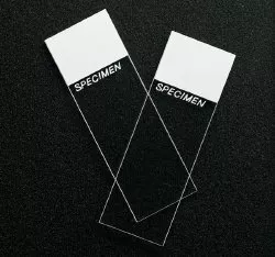 SP Superfrost Microscope Slide, 1 Gross of 144