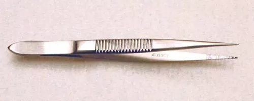Splinter Forceps 4 1/2Serrated