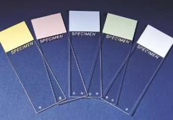Superfrost™ Plus Microscope Slide, 1 Gross of 144