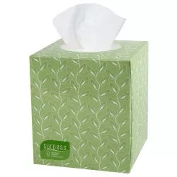 Surpass* Boutique* Facial Tissue, 1 Box