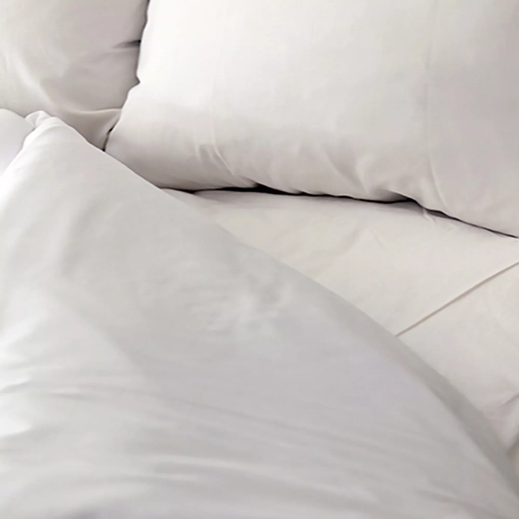 T130 Basic Plus Fitted Bed Sheet, 36 x 84 Inch, 1 Dozen