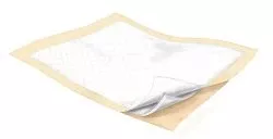 Wings Plus Underpads, Disposable, Heavy Absorbency, 23" x 36", 1 Bag of 24